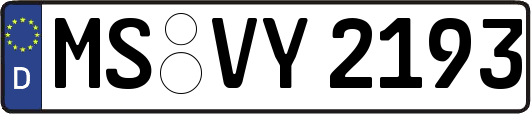 MS-VY2193