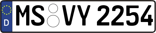 MS-VY2254