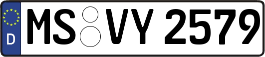 MS-VY2579