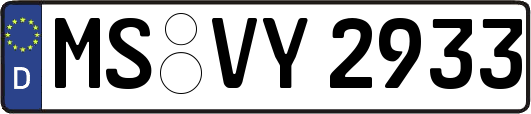 MS-VY2933