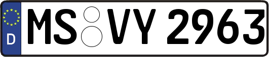 MS-VY2963