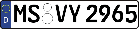 MS-VY2965