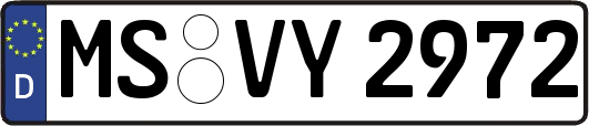 MS-VY2972