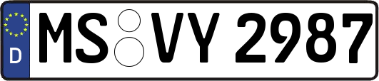 MS-VY2987