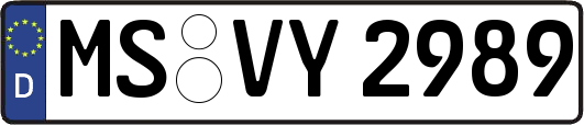 MS-VY2989