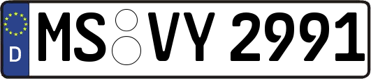 MS-VY2991
