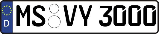 MS-VY3000