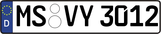 MS-VY3012