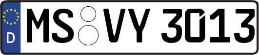 MS-VY3013