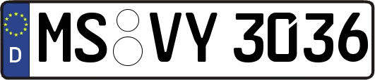 MS-VY3036
