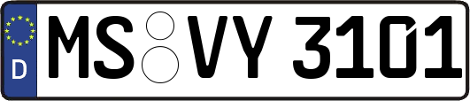 MS-VY3101