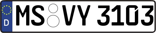 MS-VY3103