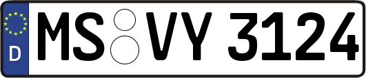 MS-VY3124