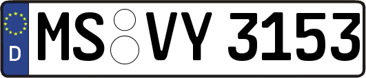 MS-VY3153