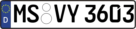 MS-VY3603