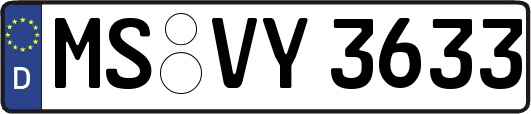 MS-VY3633