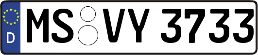 MS-VY3733