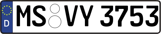 MS-VY3753