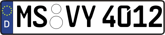 MS-VY4012