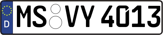 MS-VY4013