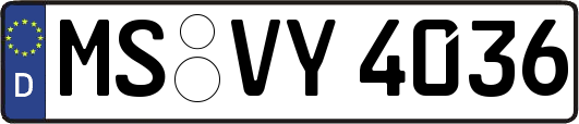 MS-VY4036