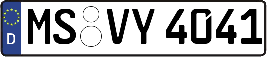 MS-VY4041