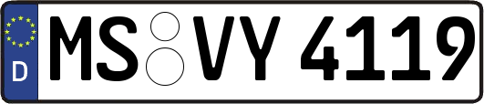 MS-VY4119