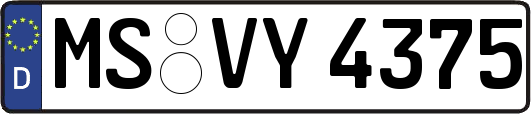 MS-VY4375