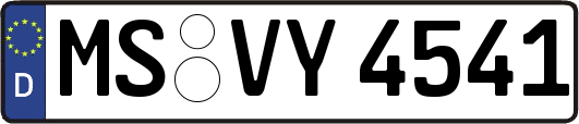 MS-VY4541