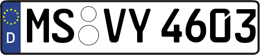 MS-VY4603