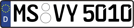 MS-VY5010