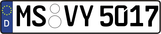 MS-VY5017