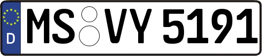 MS-VY5191