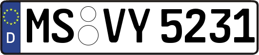 MS-VY5231