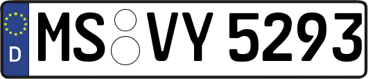 MS-VY5293