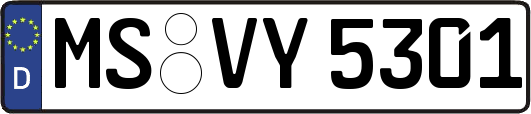 MS-VY5301