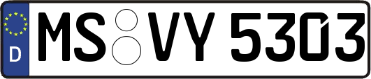 MS-VY5303