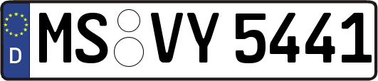 MS-VY5441