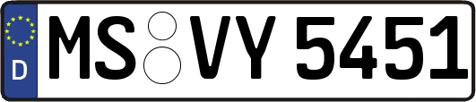 MS-VY5451