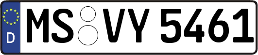 MS-VY5461