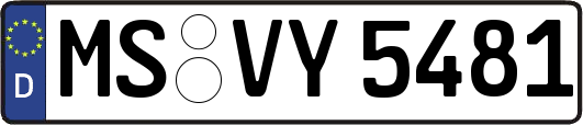 MS-VY5481