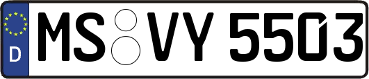 MS-VY5503