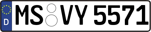 MS-VY5571