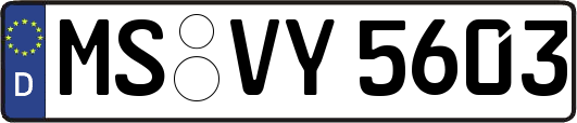 MS-VY5603