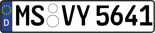 MS-VY5641