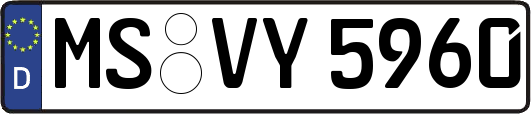 MS-VY5960