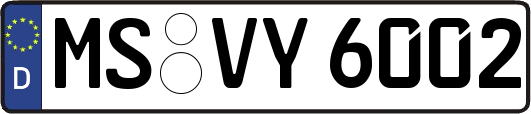 MS-VY6002