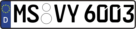 MS-VY6003