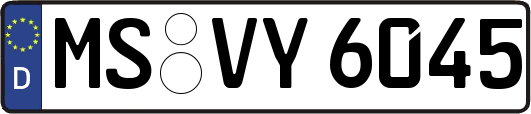 MS-VY6045