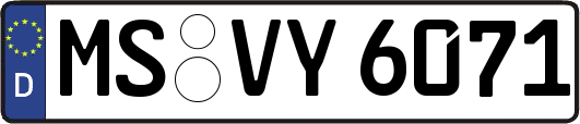 MS-VY6071
